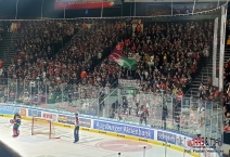 Augsburger Panthers vs Eisbären Berlin