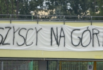 Polish Cup: Stal Mielec - Wisła Płock. 2016-07-27