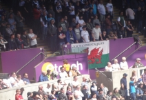 GB: Swensea - Stoke City. 2017-04-22