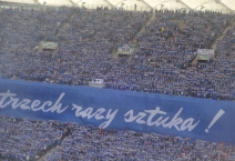 Polish Cup Final: Lech Poznań - Arka Gdynia. 2017-05-02