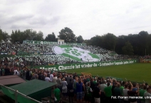D: BSG Chemie Leipzig - 1. FC Lokomotive Leipzig. 2017-07-29