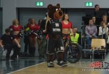D: Brose Bamberg - Panathinaikos Athen. 2018-02-02