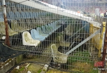 PL: Górnik Zabrze - Lech Poznań. 2018-10-05