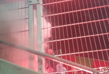 PL Śląsk Wrocław - Legia Warszawa
