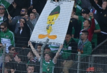 A: Wacker Innsbruck - Rapid Wien. 2019-04-06