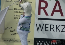 A: SKU Amstetten - SK Vorwärts Steyr. 2019-04-07