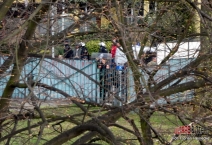 PL: Wisłoka Dębica - Polonia Przemyśl. 2019-04-13