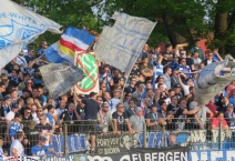 D: TSV Havelse- SV Meppen. 2019-04-24