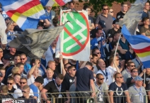 D: TSV Havelse- SV Meppen. 2019-04-24