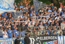 D: TSV Havelse- SV Meppen. 2019-04-24