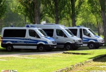D: TV Askania Bernburg - Hallescher FC. 2019-04-30
