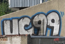 D: Chemnitzer FC - FSV Zwickau e.V.. 2019-05-25