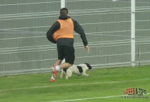 SRB: FK Čukarički - FK Vojvodina