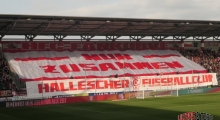 D: Hallescher FC - FSV Zwickau. 2025-03-29