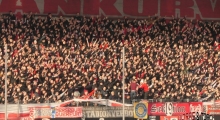 D: Hallescher FC - FSV Zwickau. 2025-03-29