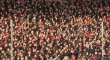 D: Hallescher FC - FSV Zwickau. 2025-03-29