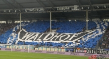 D: SV Waldhof Mannheim - TSV 1860 München. 2025-04-13