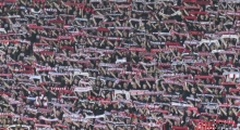 SLO: FC Spartak Trnava - MFK Ružomberok. 2025-05-01